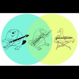 Meet your Posher, Levi